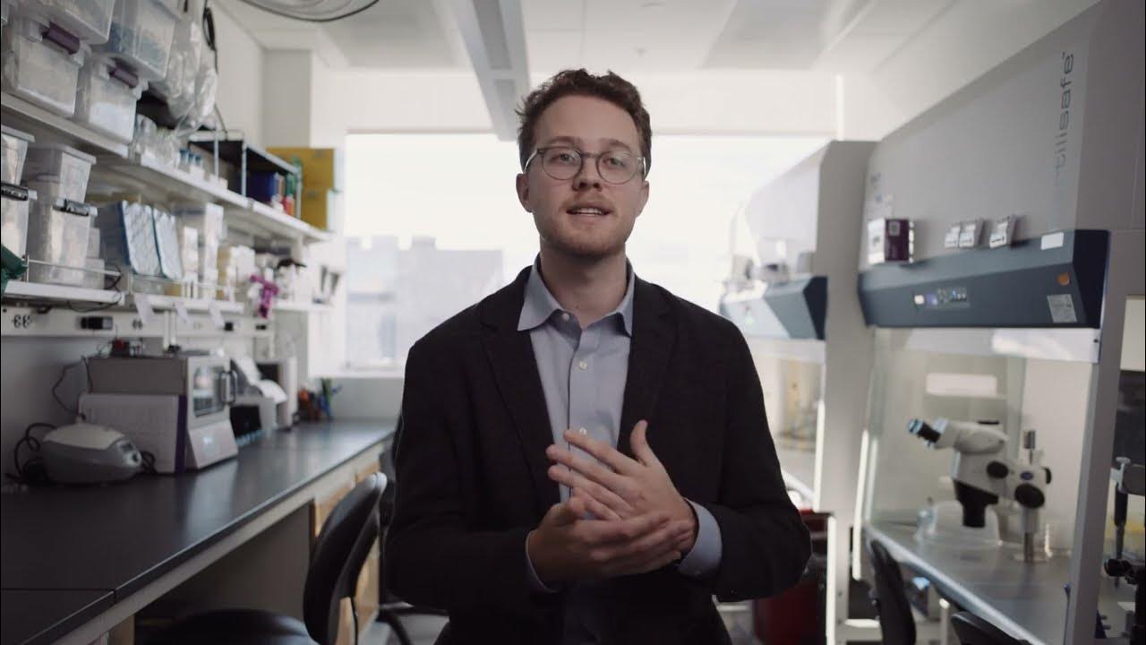 DinaRadenkovic's tweet card. IVM Ask the Experts