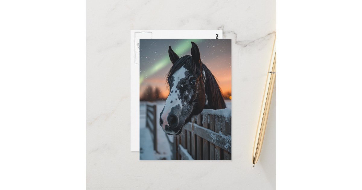 angelandspot's tweet card. A cute black and white horse with the Northern Lights in the winter sky