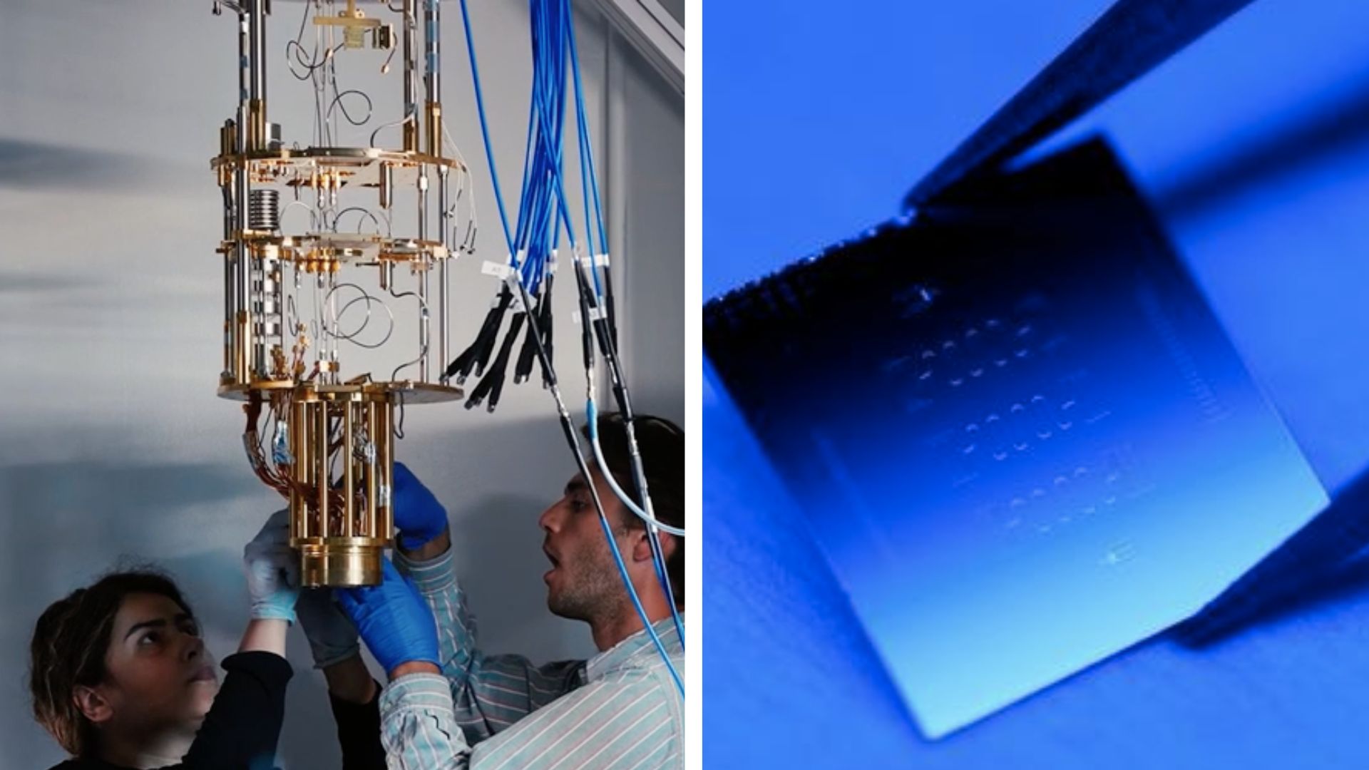 SignalStartup's tweet card. The new qubit design is similar to those already used by leading companies like Google and IBM, and could easily be slotted into existing processors.