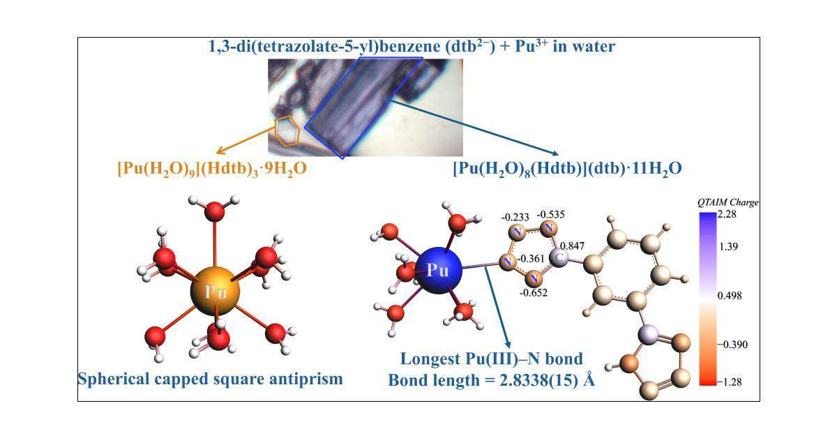 Jsperling91's tweet card. Four trivalent, f-element tetrazolate hydrate complexes [M(H2O)9](Hdtb)3·nH2O (Nd1, n = 7 and Pu1, n = 9; dtb2– = 1,3-di(tetrazolate-5-yl)benzene) and [M(Hdtb)(H2O)8](dtb)·11H2O (Nd2 and Pu2) were...