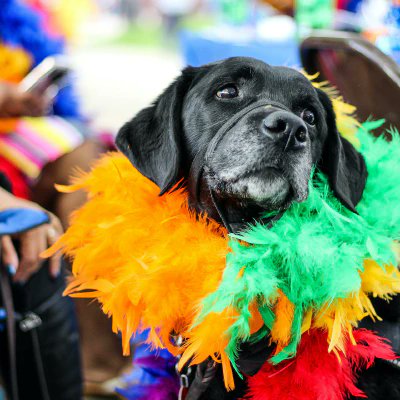 ADevoops's tweet card. On this blog we discusses DevOps and Agile at great length. DevOps is a methodology for technology delivery while Agile is a methodology for project delivery. The two methodologies pair together...