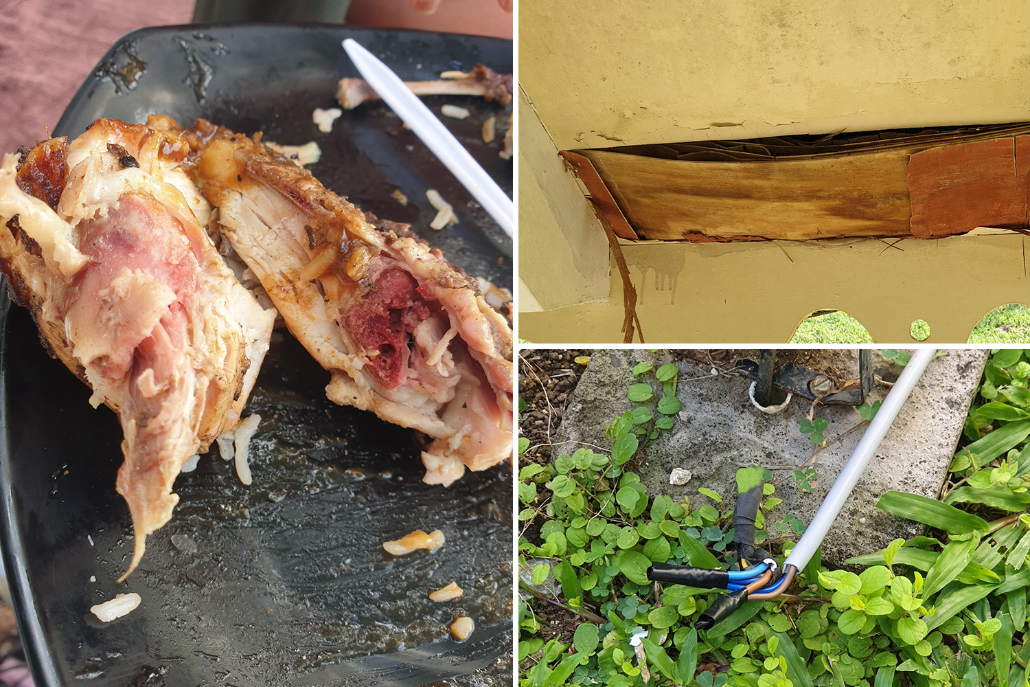 HOMECUISINE2016's tweet card. A COUPLE claim their TUI holiday was “hell on earth” after food was served raw and guests were “snorting coke” from the tables in front of children. Karl Lewis-Law, 54, spen…