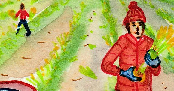 Tweet card summary image