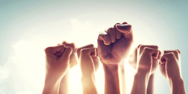 tes's tweet card. Writing exclusively for Tes, Professor Becky Francis details why the curriculum and assessment review does not support calls for ‘revolution not evolution’