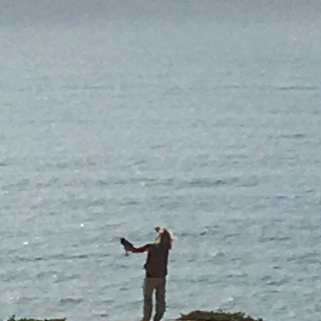 EncinitasNotary's tweet card. Encinitas Mobile Notary (@encinitasmobilenotary) • Instagram photo