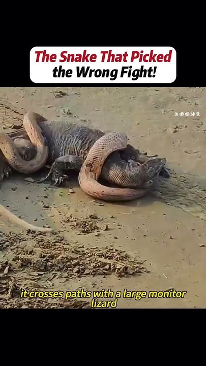 blunt978's tweet card. #handwork #Manufacturing #Build #Creativity #Repair #DIY #challenge...