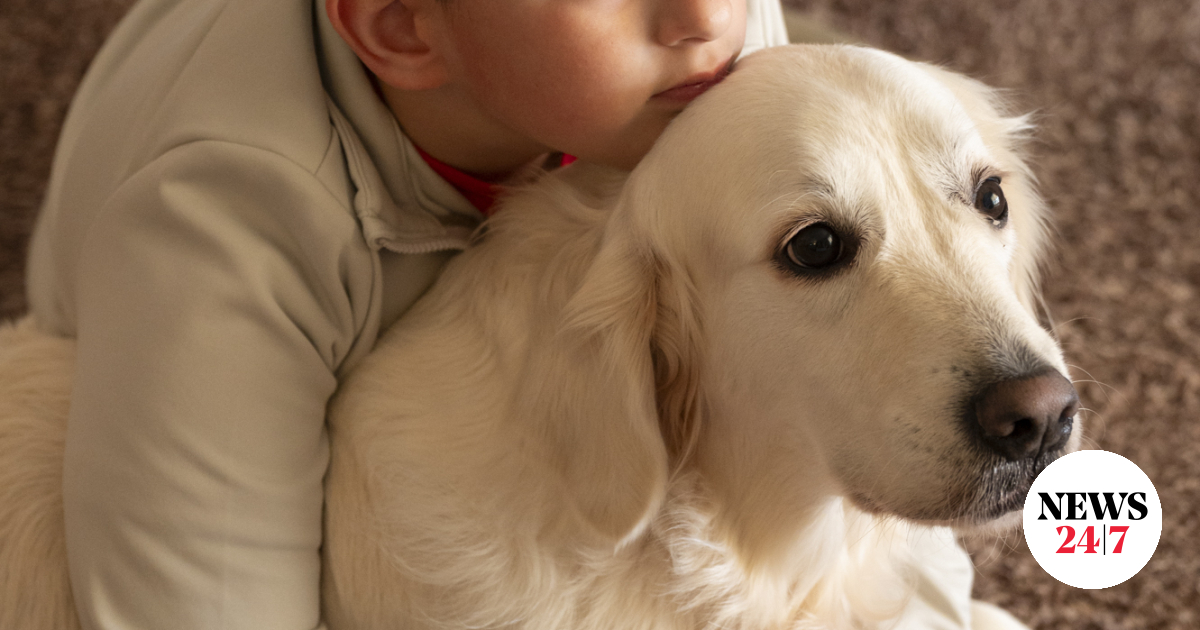 karmaback's tweet card. Η Γιούκι είναι ο σκύλος βοηθός του Κωνσταντίνου. Ο Κωνσταντίνος ειναι στο φάσμα του αυτισμού. Οι γονείς του διηγούνται πώς η Γιούκι άλλαξε τη ζωή τους.