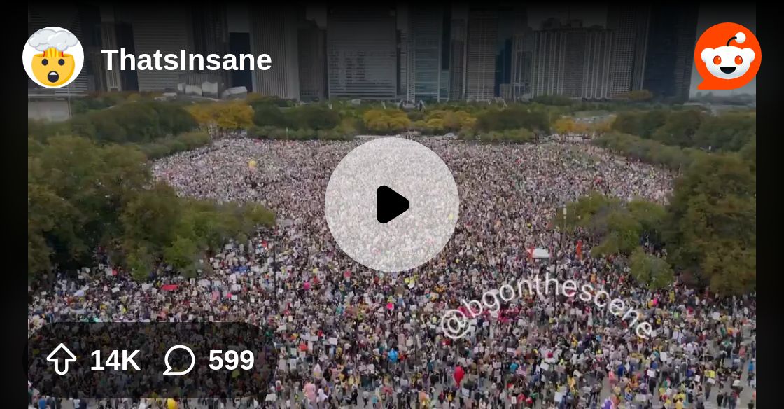 davidwferrell's tweet card. Explore this post and more from the ThatsInsane community