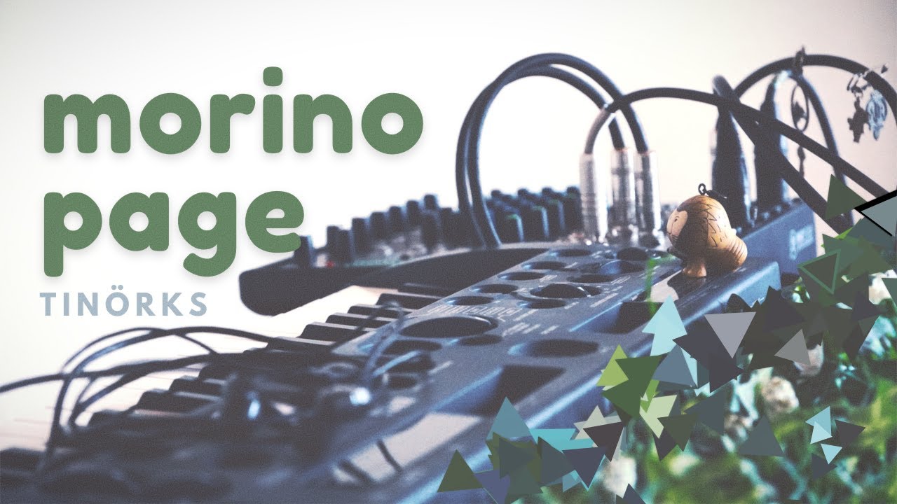 tinorks's tweet card. TINÖRKS - 森のページ(Live Session)