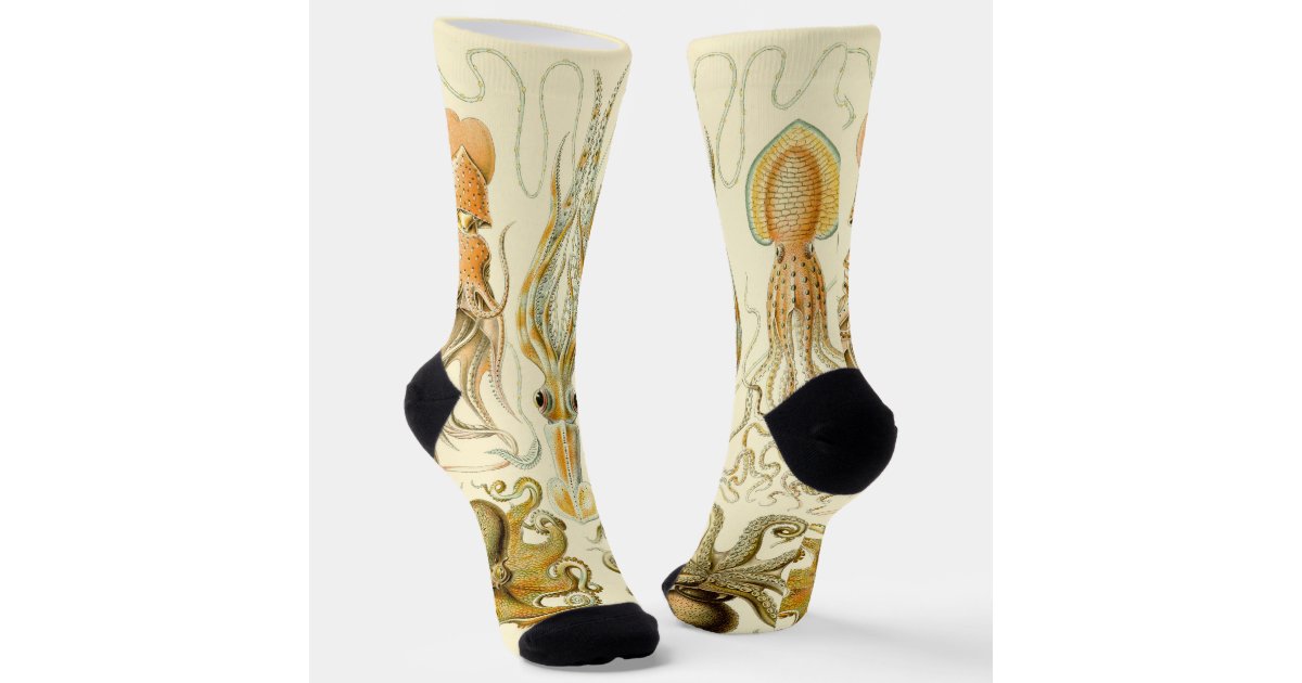 masterpiececafe's tweet card. Fun all-over-print uni-sex socks! Shop my store to find matching leggings, shoes, tank tops or t-shirts! Message me for special requests. Vintage illustration nature marine life biology design by...