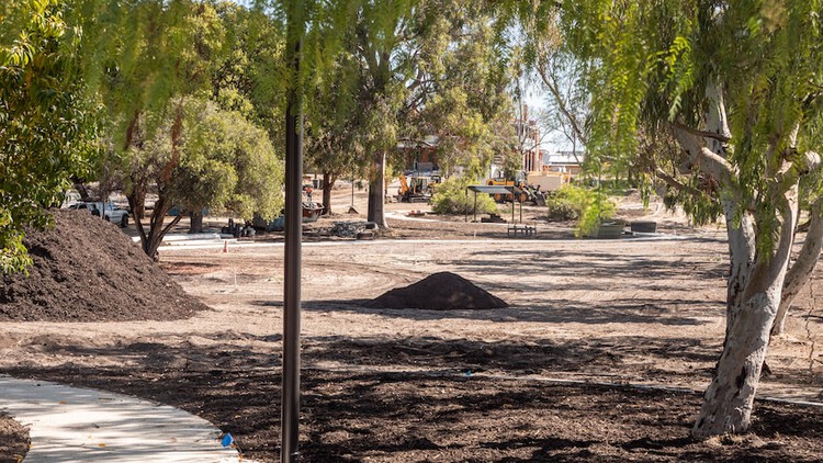 MRC1065's tweet card. The Town of Victoria Park has revealed nearly 50 trees were removed without authorisation during redevelopment works to a park and adjacent hospitality precinct, and says it is investigating what...