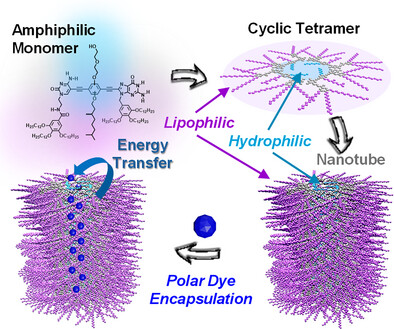 angew_chem's tweet card. A unique class of tubular polymer structures that are soluble in apolar organic solvents but are endowed with polar pores has been created through the rational design of the monomer units, which...