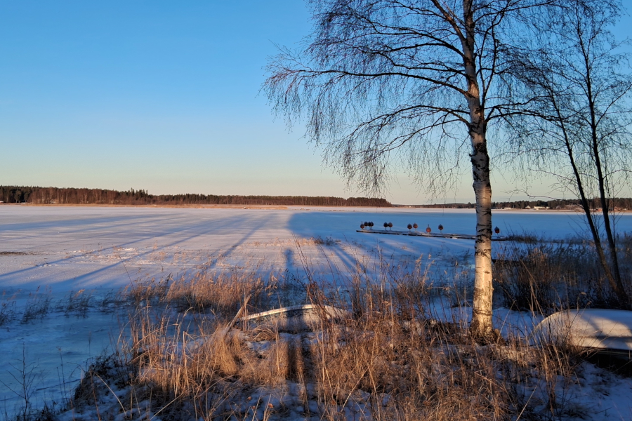 jenseits66N's tweet card. Ein breiter Streifen einlang der Küste zwischen Piteå und Oulu ist bereits zugefroren. In Kemi ist der erste Eisbrecher im Dienst.