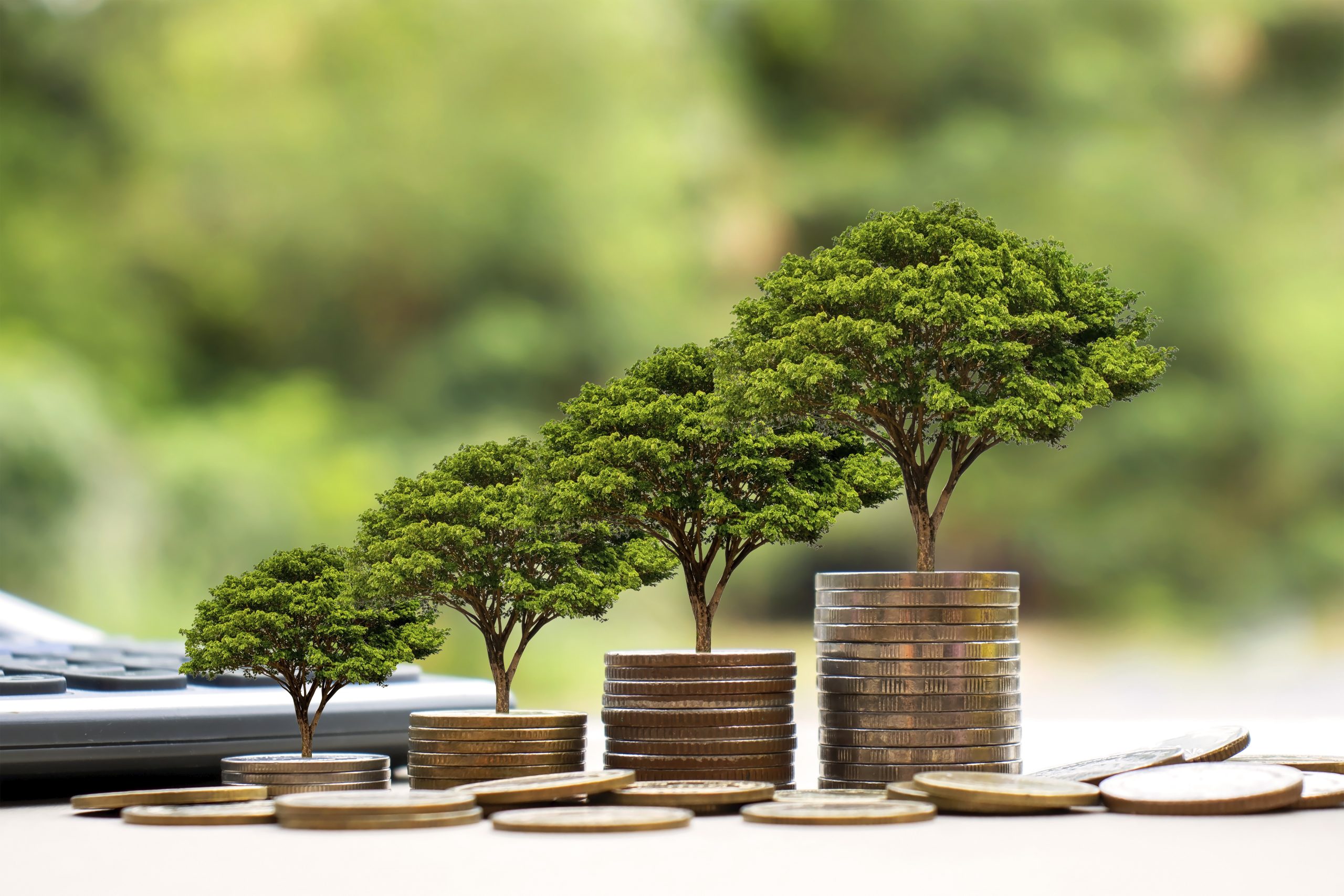 fb_netzero's tweet card. Is it possible for sustainability to work, whilst still focusing on the bottom line? We delve into how it can all work.