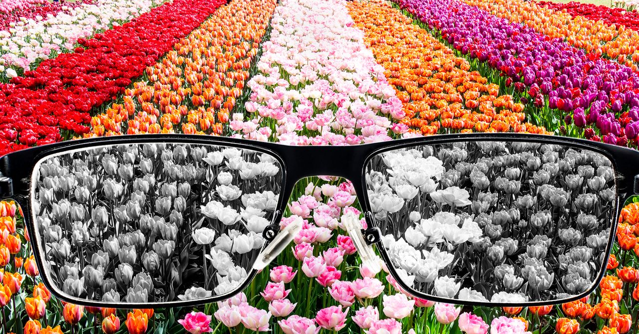 LauraWebdev's tweet card. Certain Pantone collections now require users to pay $15 a month to access them—with colors turned black unless you pay up.