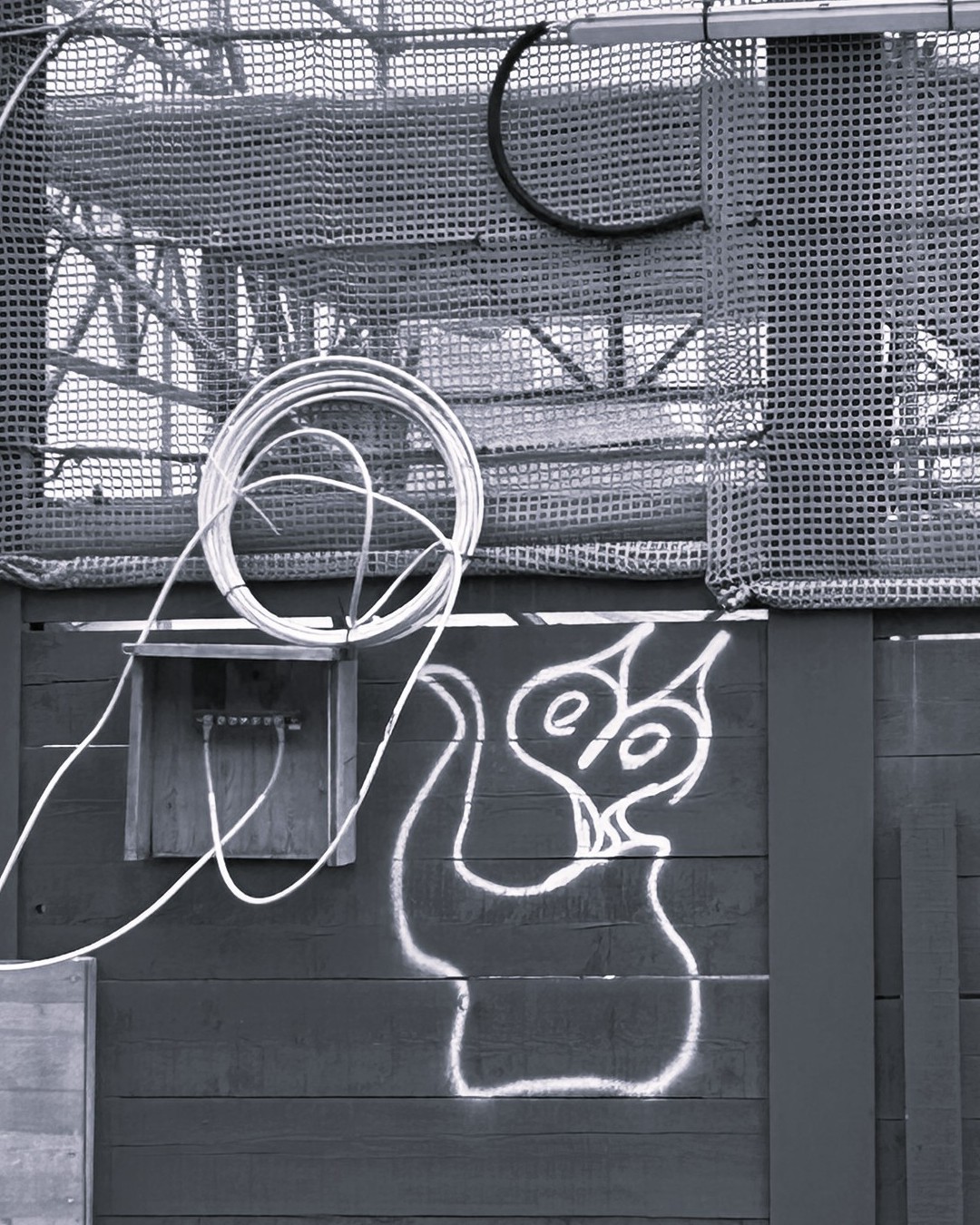 thewoolfx's tweet card. .