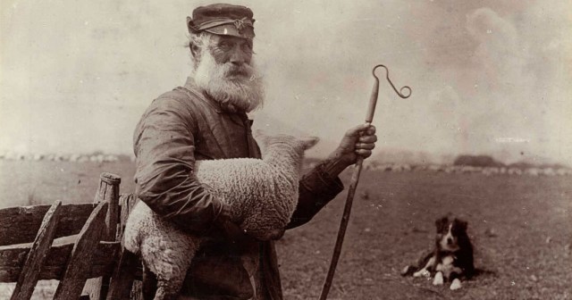 brainpickings's tweet card. “All our lives we perform tasks while waiting for something to click into place. For somewhere to put our love.”