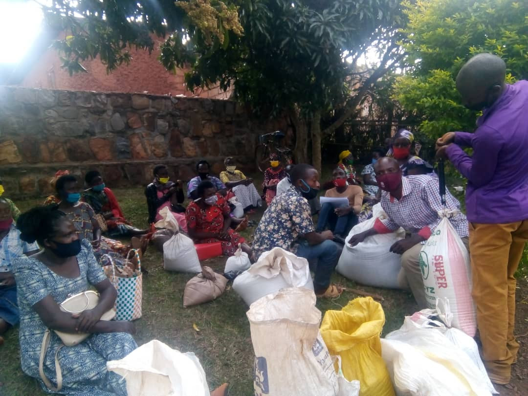 QuinoaHubs's tweet card. Participatory breeding, integration, and feedback from farmers.