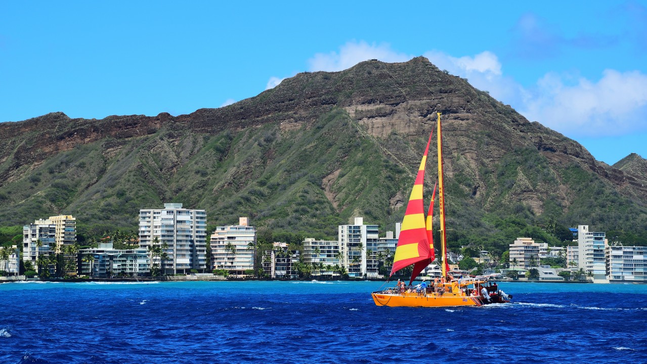 BizProcess_Dan's tweet card. Organizations today should be focused more than ever on improving both top-line and bottom-line results. The next few months or years are going to force companies to examine every area of the...