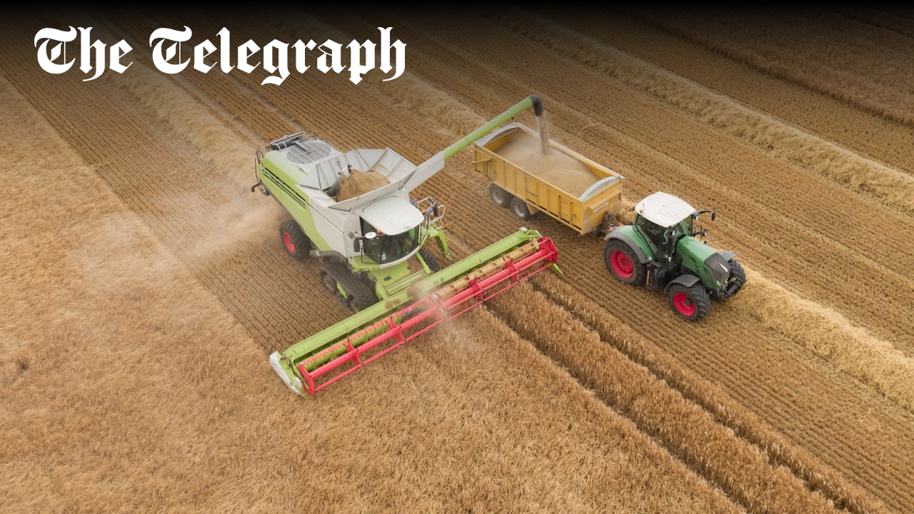 Beyond_GM's tweet card. Burdensome EU red tape risks unravelling the freedom from regulations after Brexit