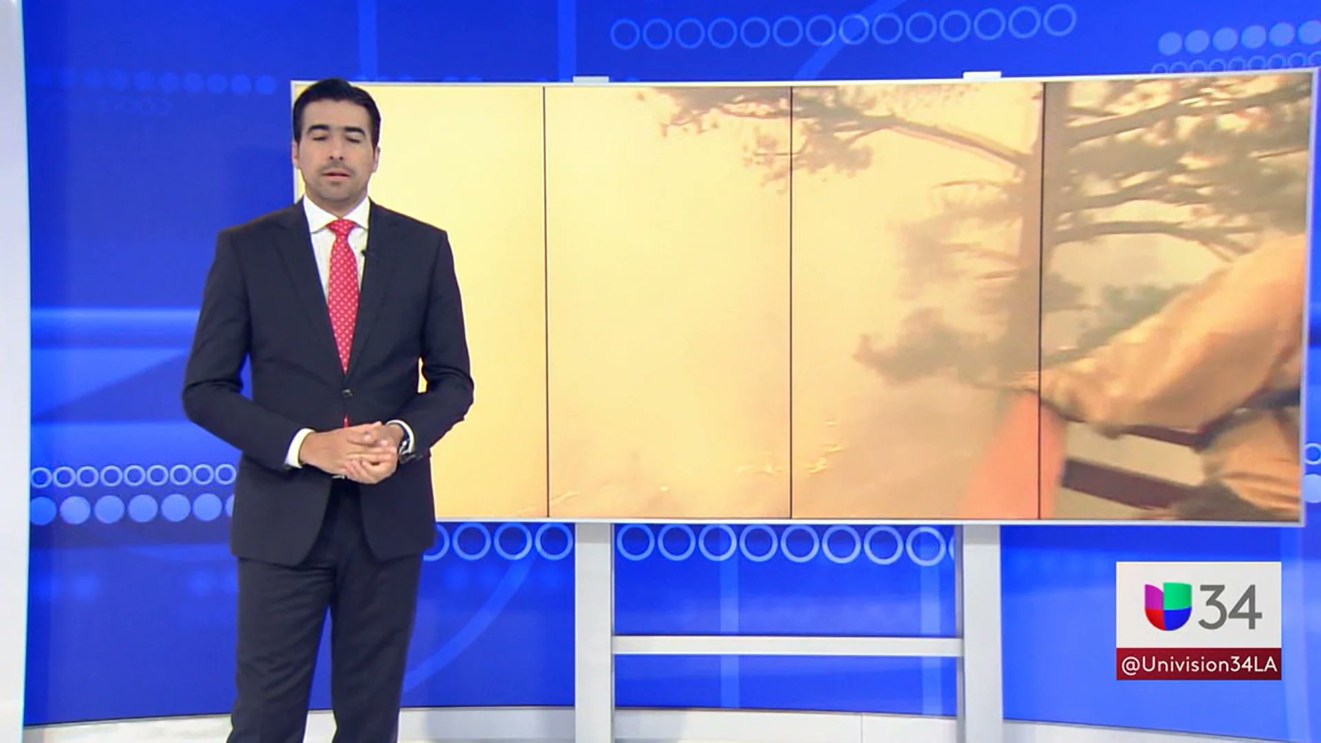 formlainc's tweet card. 11P Fire Resilient Garden 080522