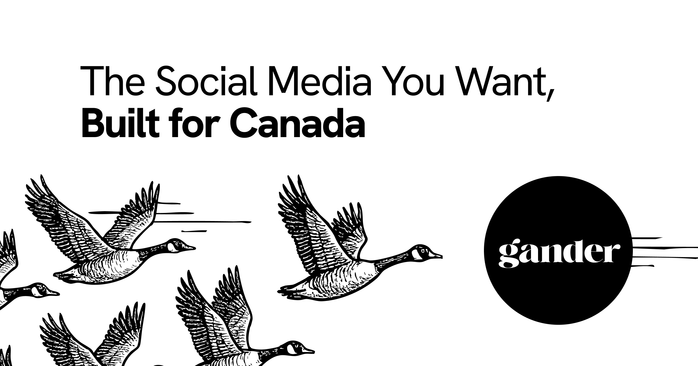 Gander_Social's tweet card. Fun, private, and ethical. We're changing the way social media is done around here, all without your personal data taking an unexpected trip down south.