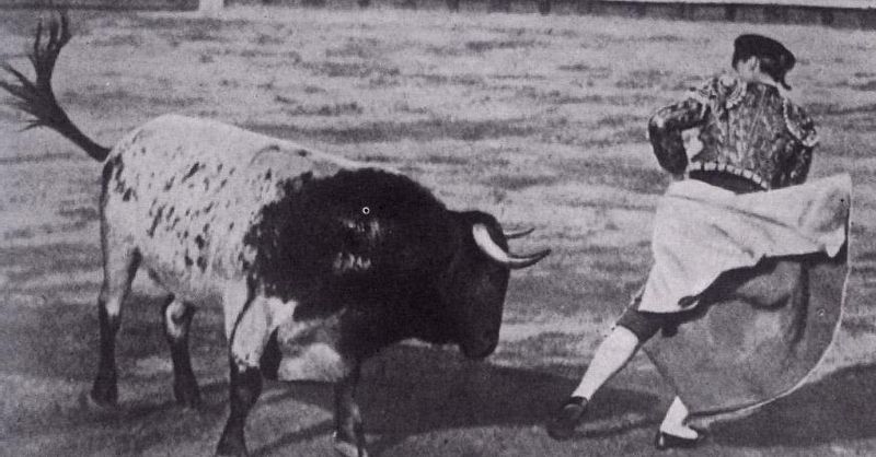 solcmons_labcs's tweet card. La UIMP dedica su curso de tauromaquia a la compleja relación de los poetas sevillanos con la fiesta.