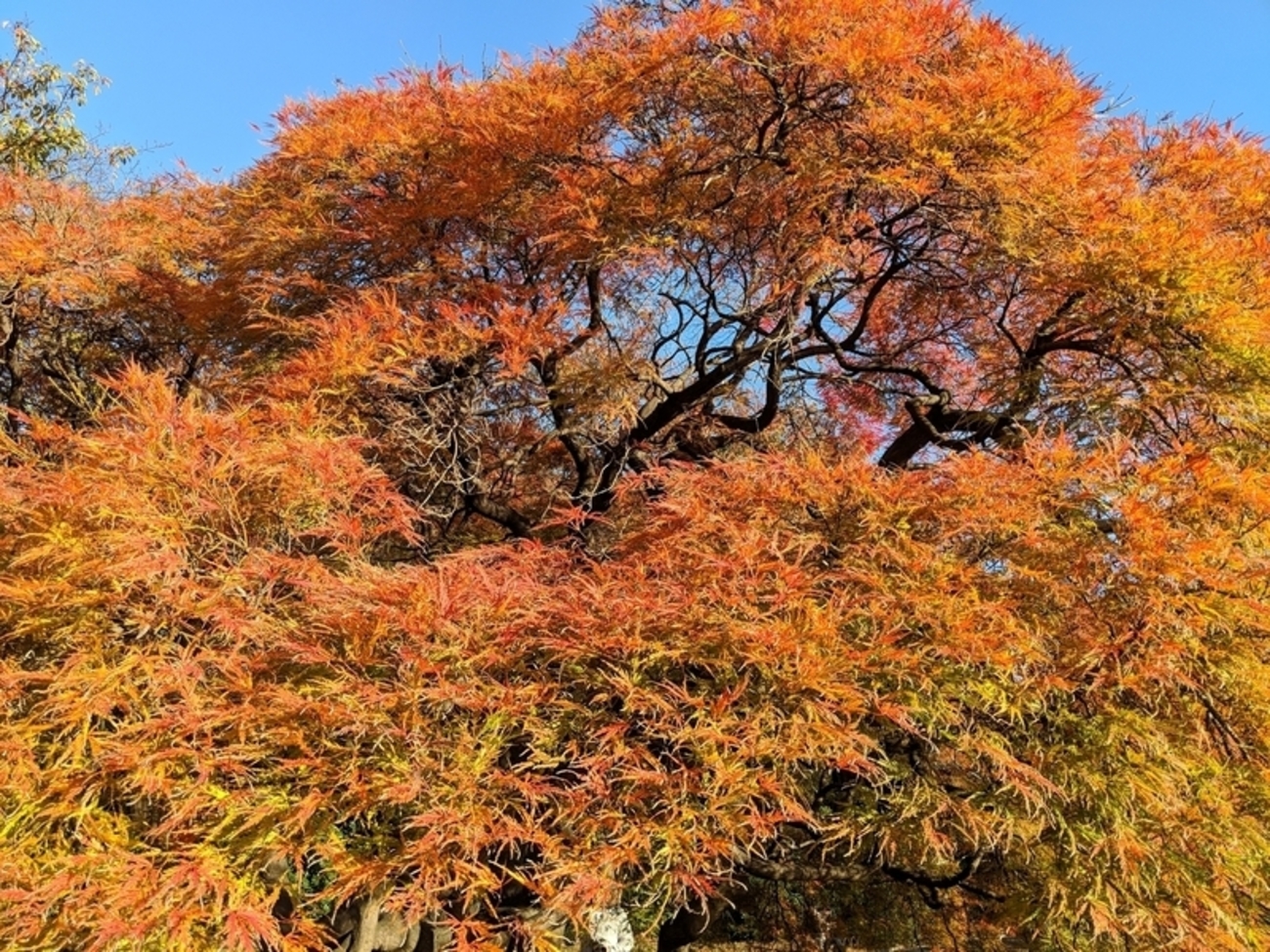 m3_engineering's tweet card. こんにちは。エンジニアリンググループ GMの藤原聖です。このブログはマネジメントチームブログリレー 5日目の記事です。前回は窪田さんの、ローコードツールから Playwright 移行への道 2025 でした。 私はマルデバ・デジカル・デジスマという3つのチームのGMを担当していますが、その傍ら エムスリーテクノロジー…