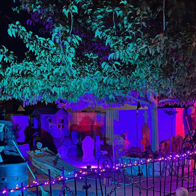 TheAtomProject's tweet card. Adam Chant (@atomchant99) • Instagram photo