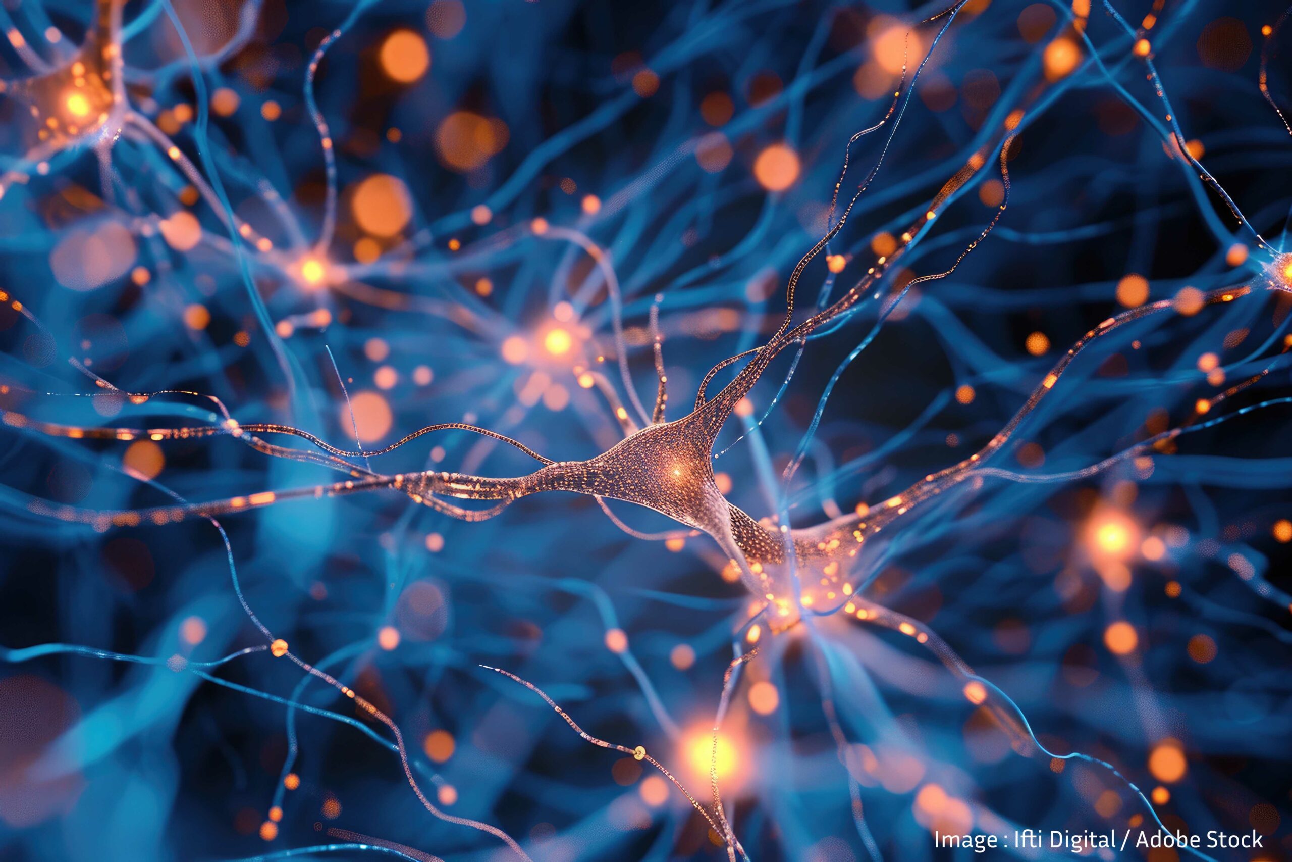 Inria_Academy's tweet card. Le cerveau, un modèle pour l’intelligence artificielle - Inria Academy