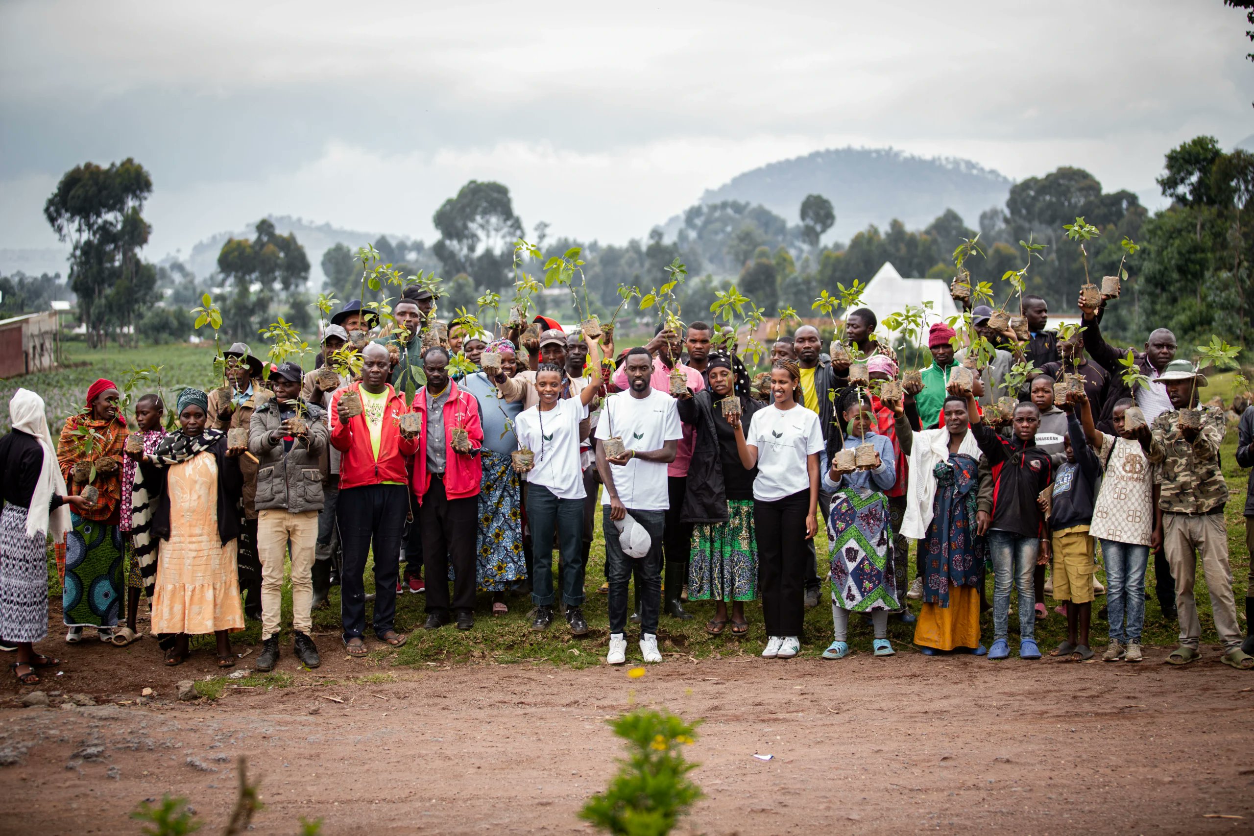 Secotomagazine's tweet card. In a powerful demonstration of community-driven climate action, ISARO Econext, in partnership with YUHI, brought together residents of Mudende Sector in Rubavu District to plant 1,500 avocado trees…