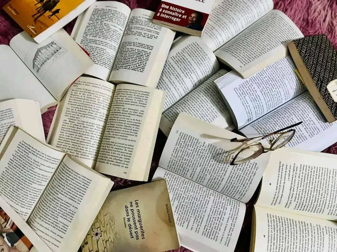 KoriactuO's tweet card. La littérature explique l'économie mieux que les modèles. C'est ce que Jed Sophonie KOBOUDE indique dans ce billet