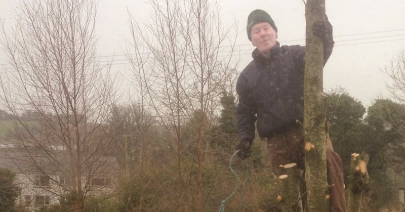 Tweet card summary image