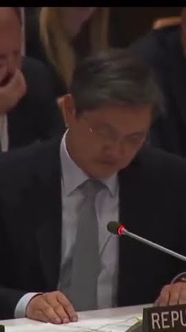peterparc21's tweet card. Korea UN ambassador struggles to hold the tears while talking about...