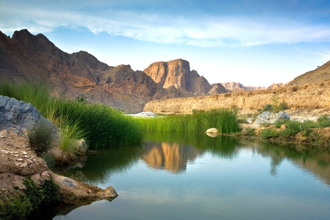 tsc_logicladder's tweet card. Oman advances green finance initiatives to accelerate carbon neutrality and support sustainable economic growth by 2050.