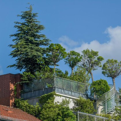 Tweet card summary image