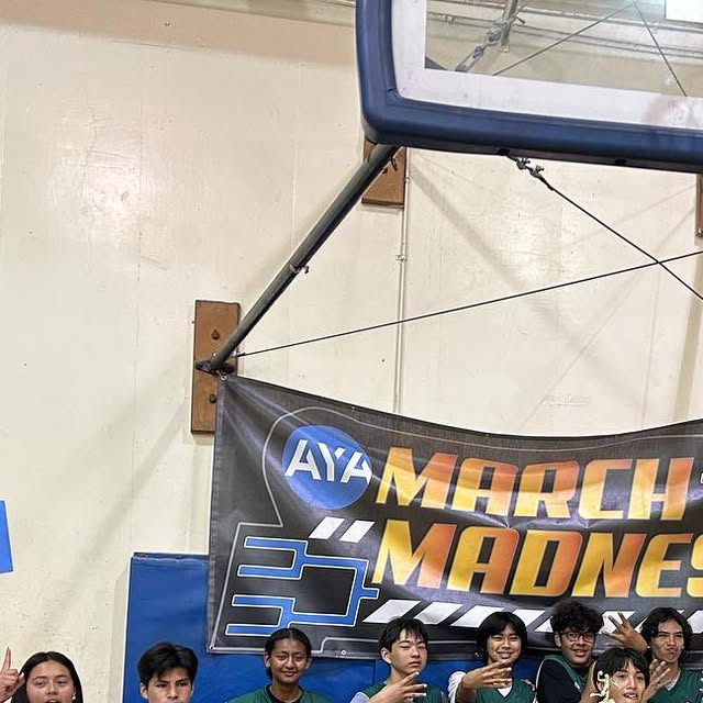 AYA_Programs's tweet card. Action Youth America (@actionyouthamerica) • Instagram photos and videos