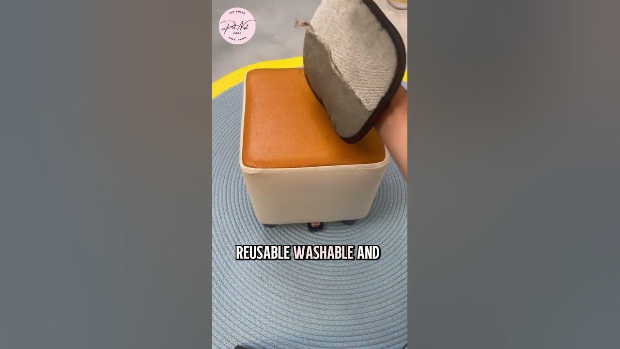 tjporter1958's tweet card. “Pet Hair Everywhere? 🐶🐱 Try This Glove! #PetHack” #fypシ゚viral...