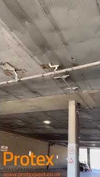 ProtexPCS's tweet card. Bird control services, see how we installed bird netting in a large...