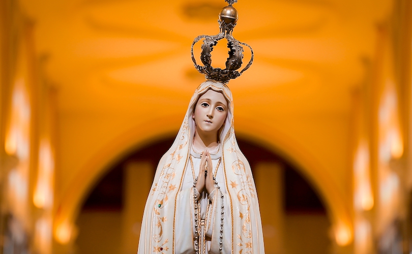 C4D_LLC's tweet card. Mater Populi Fidelis, approved by Pope Leo XIV, rules the expressions inappropriate and theologically 'unhelpful.'