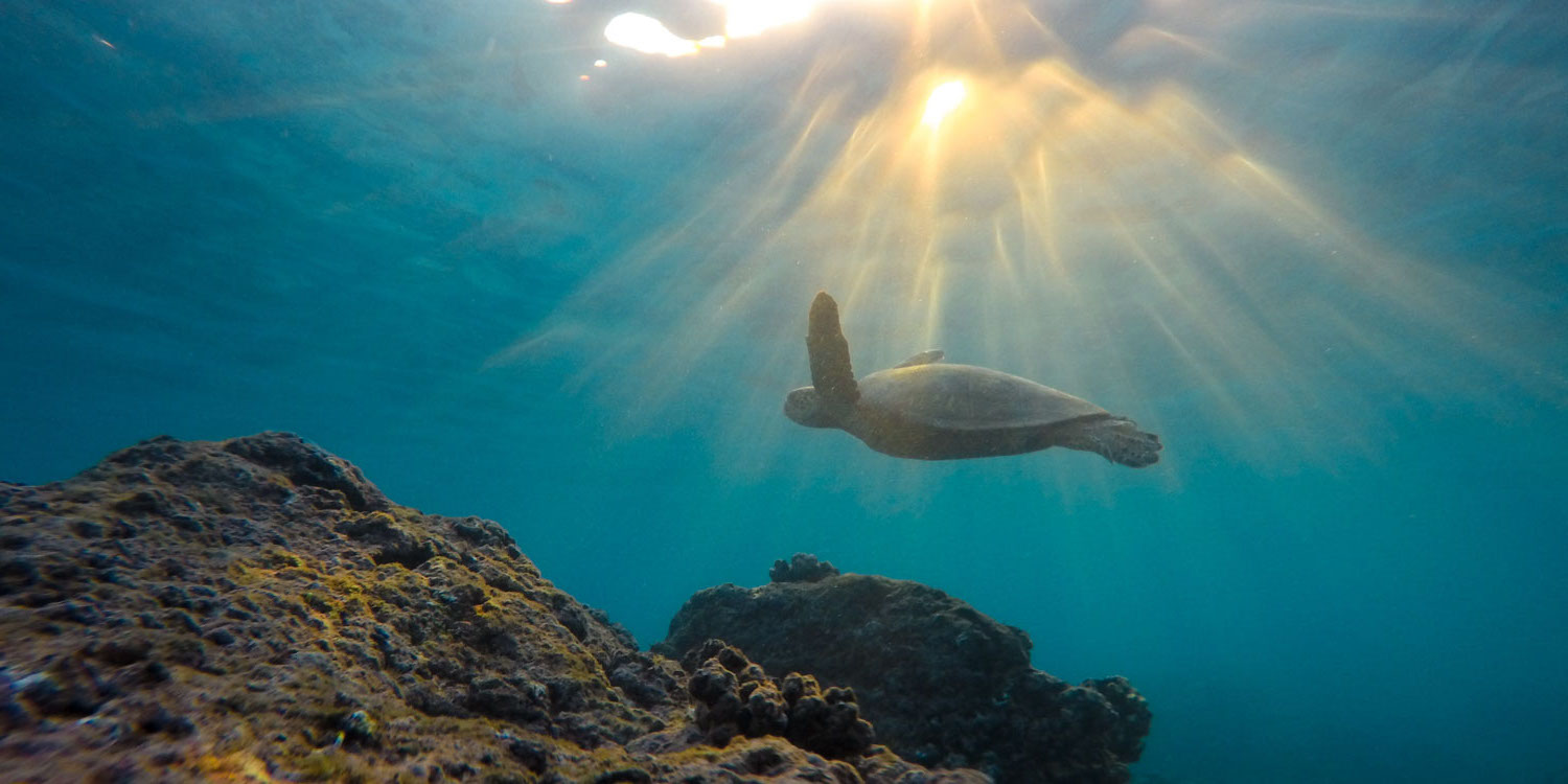 iafor's tweet card. Call for Papers closes on Friday, October 10, 2025.