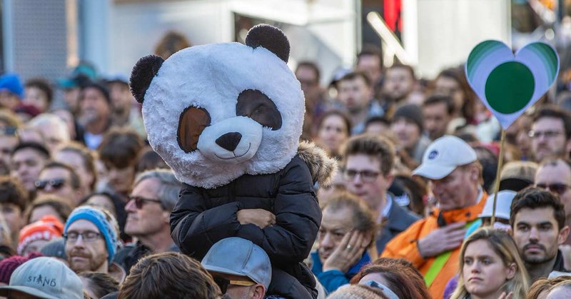 Tweet card summary image