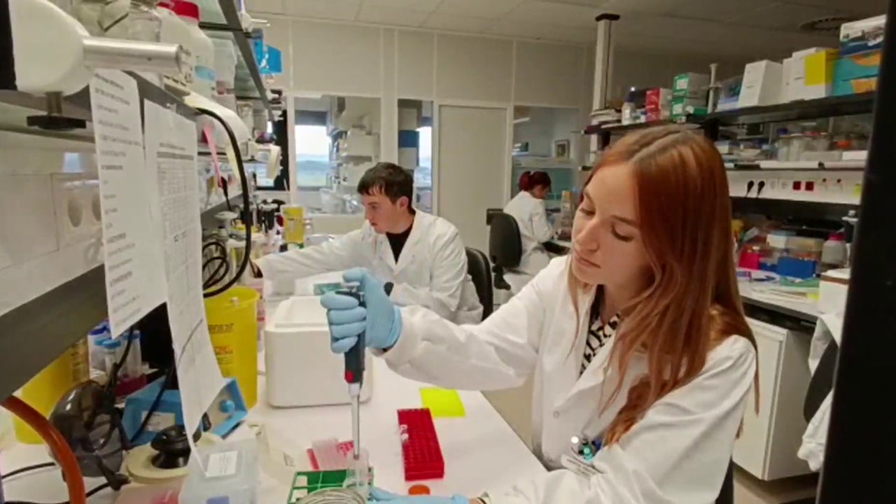 A3Noticias's tweet card. Investigadores españoles descubren el 'talón de Aquiles' del cáncer de pulmón