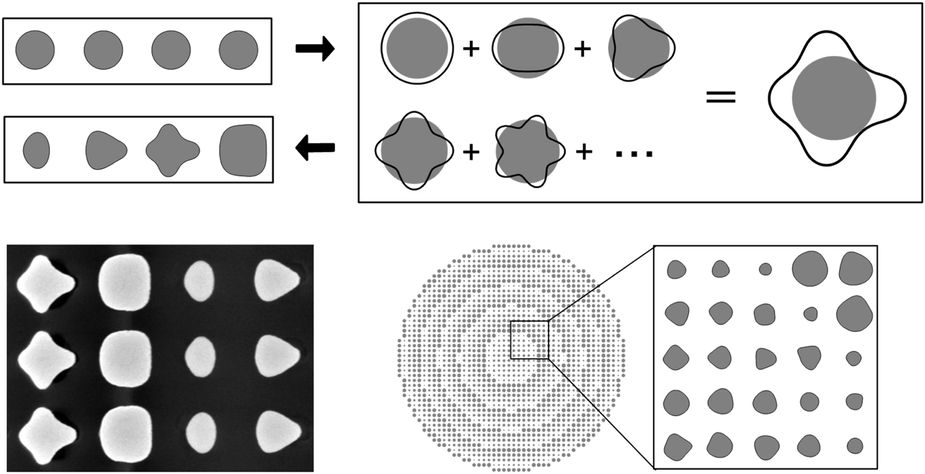 LightSciAppl's tweet card. Light: Science & Applications - We demonstrate numerically and experimentally a shape optimization method that enables high efficiency metasurfaces while providing direct control of the...