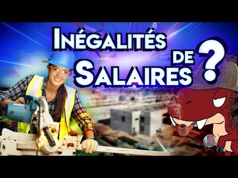RaptorVsWild's tweet card. Le MENSONGE des Inégalités Salariales Hommes Femmes - L'Enquête #2