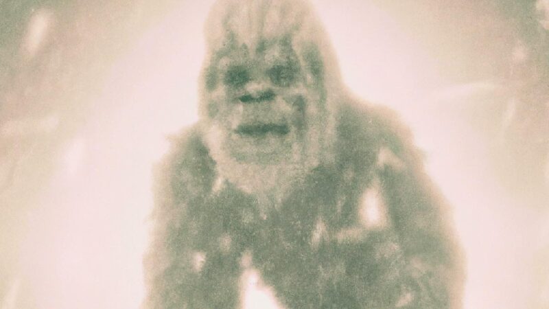 cryptoworld's tweet card. We decided to experiment with AI to see if it could create any convincing images of popular cryptids! What do you think?