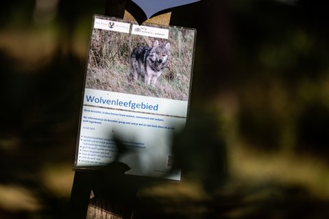 Image for twitter card