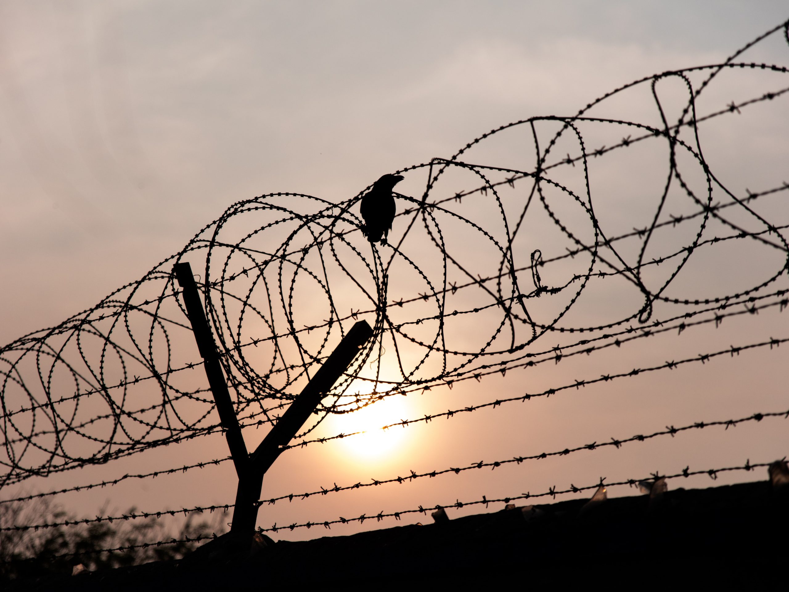 commonslibrary's tweet card. The Sentencing Bill was introduced to the House of Commons on 2 September 2025 and is scheduled for report stage on 29 October 2025.