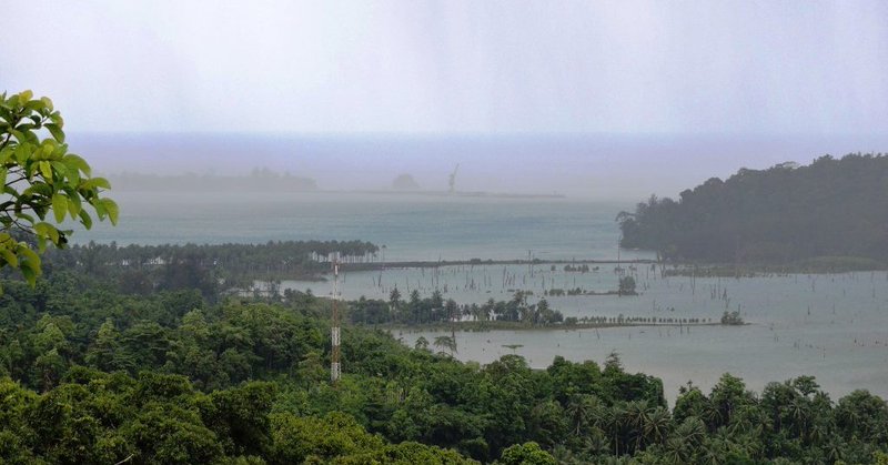 Tweet card summary image