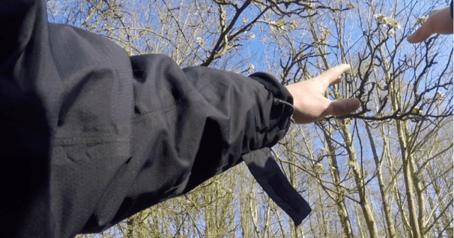 Tweet card summary image